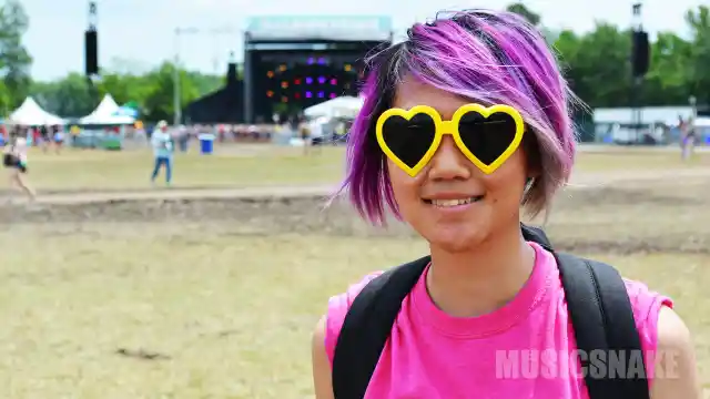 Firefly 2015: Faces of Music