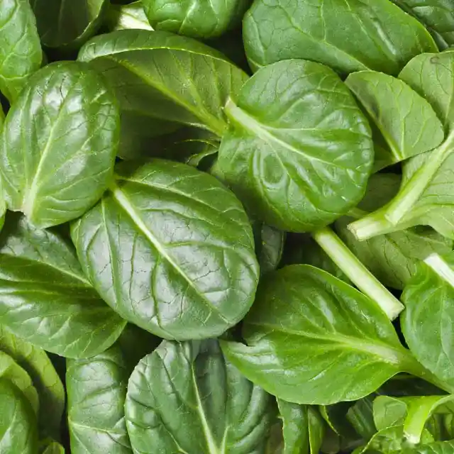 Number Six: Leafy Greens