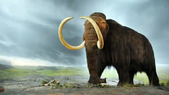 Ten Iconic Animals That Humans Hunted to Extinction