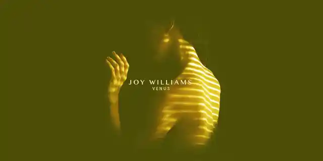 Joy Williams: ‘Venus’ Album Review