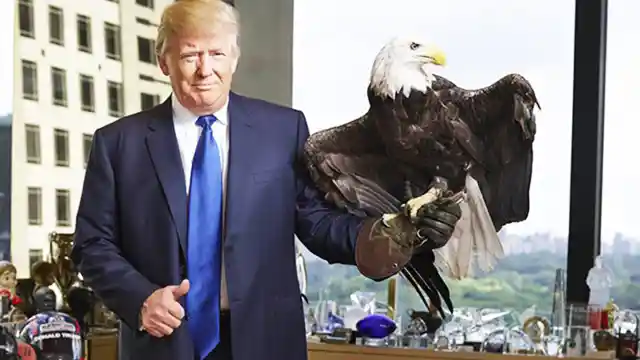 Watch Donald Trump Get Owned by a Giant Bird