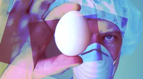 Ig Nobel Prize Awarded to Scientists Who Can Un-Boil Eggs